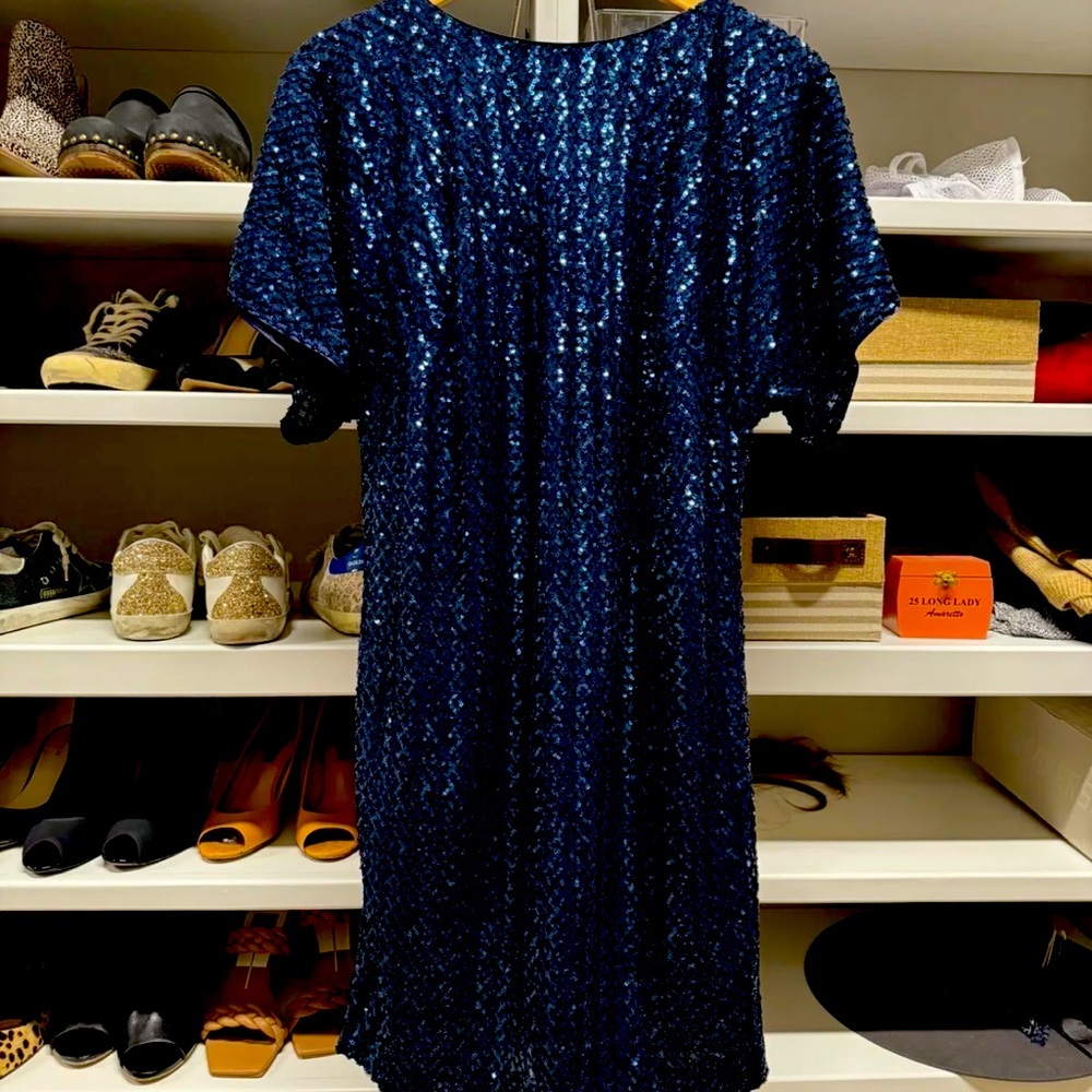 Vince Camuto Dolman Sleeve Sequin Dress Sz6